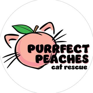 Purrfect Peaches Cat Rescue