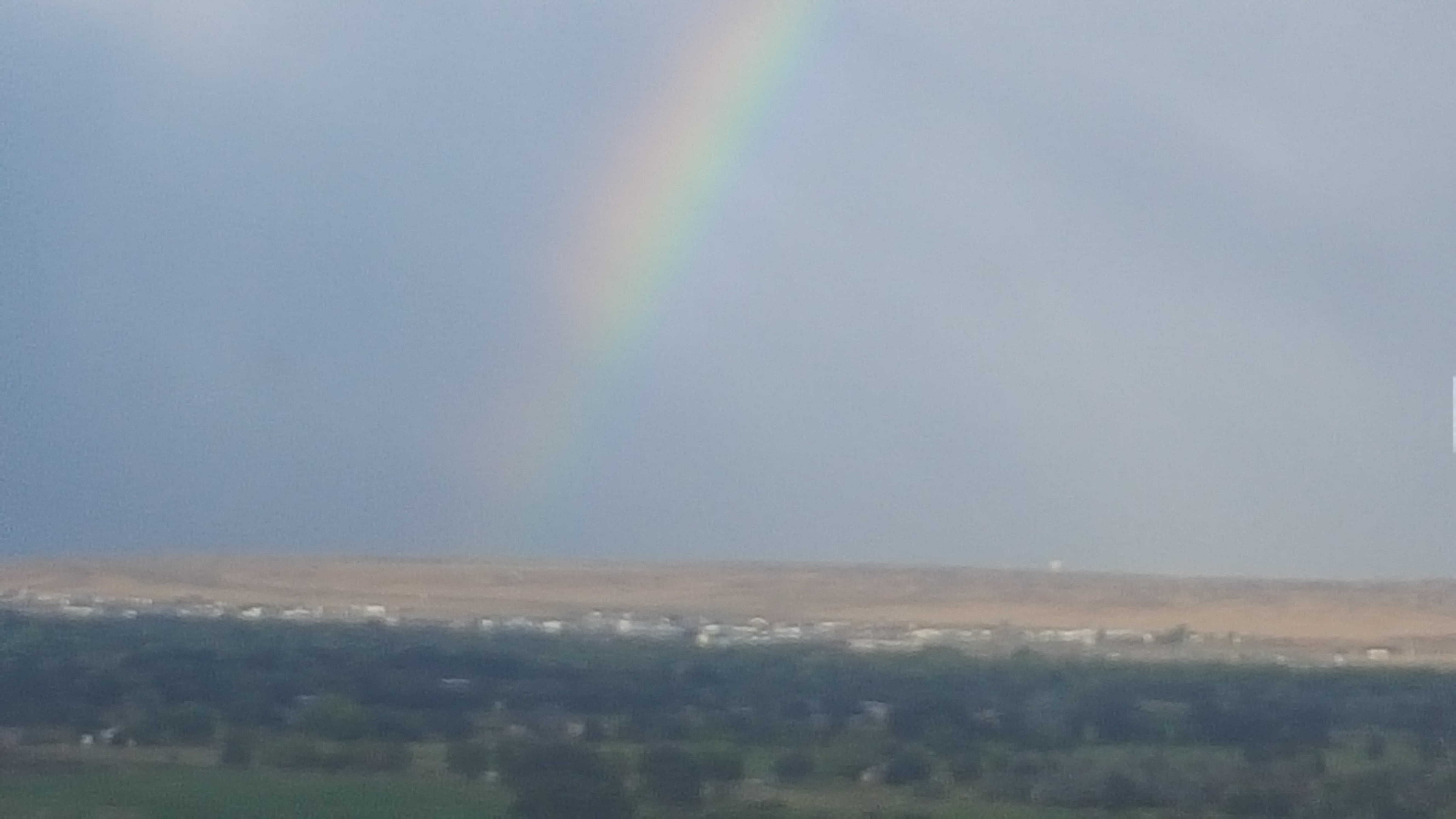 Maid For You Cleaning Company LLC