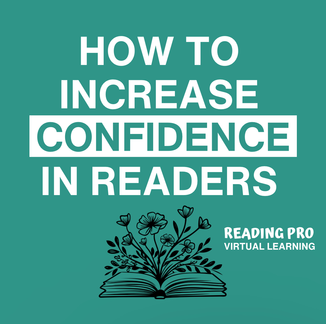 Reading Pro Virtual Learning LLC