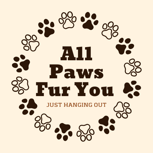 All Paws Fur You Inc