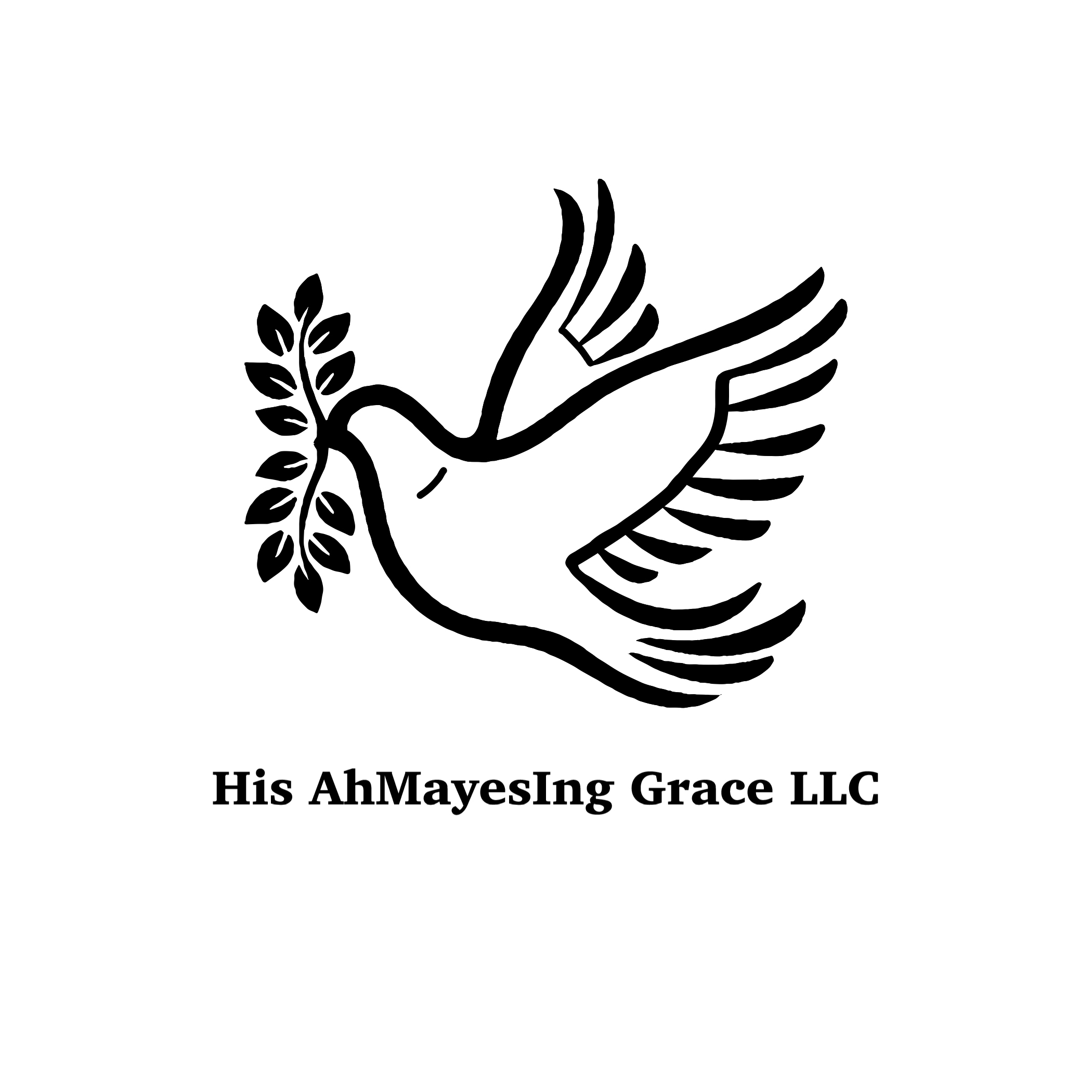 HIS AhMayesIng Grace LLC