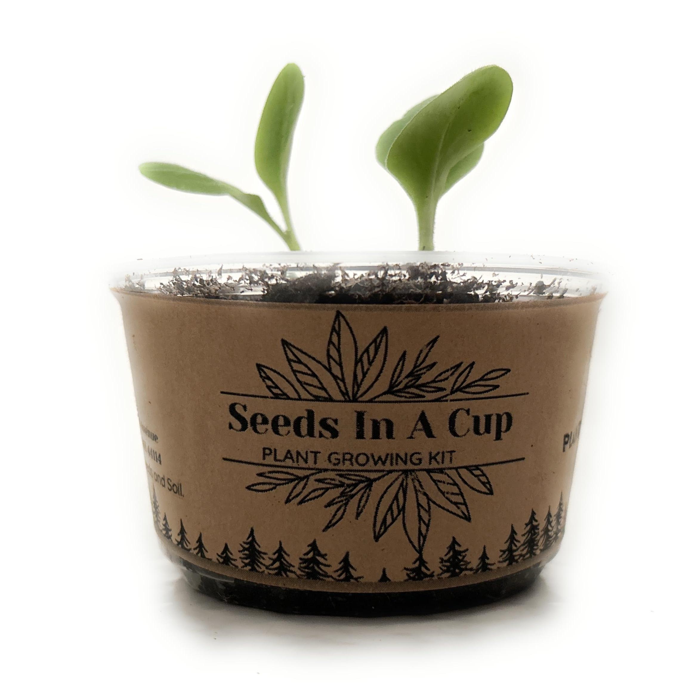 Seeds In A Cup®