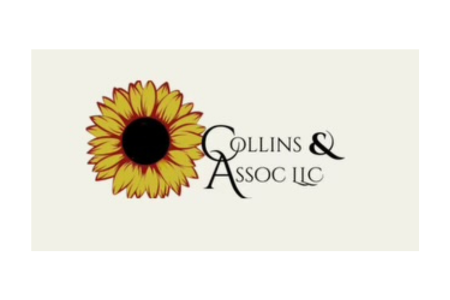 COLLINS & ASSOC LLC