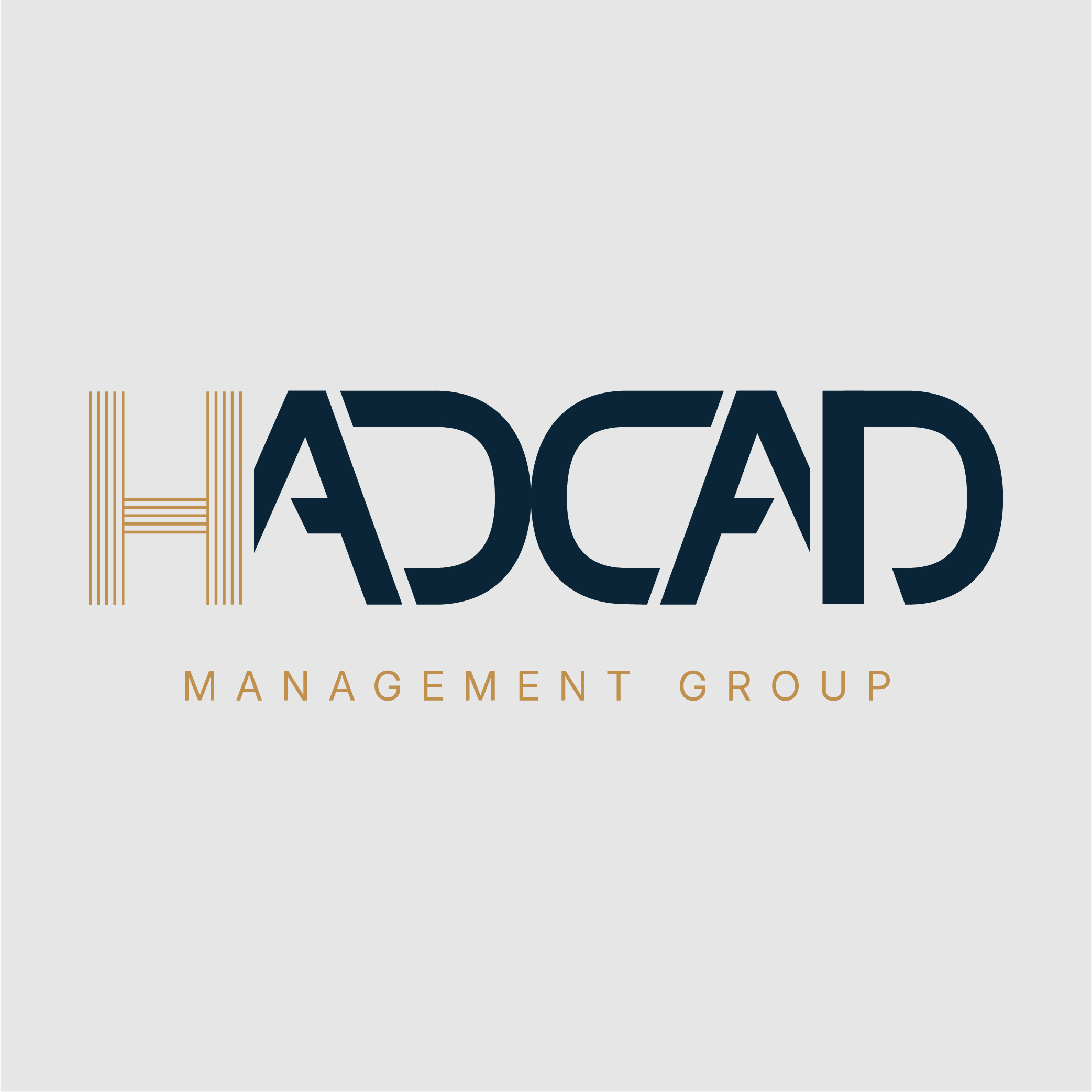 Haddad Management Group LLC