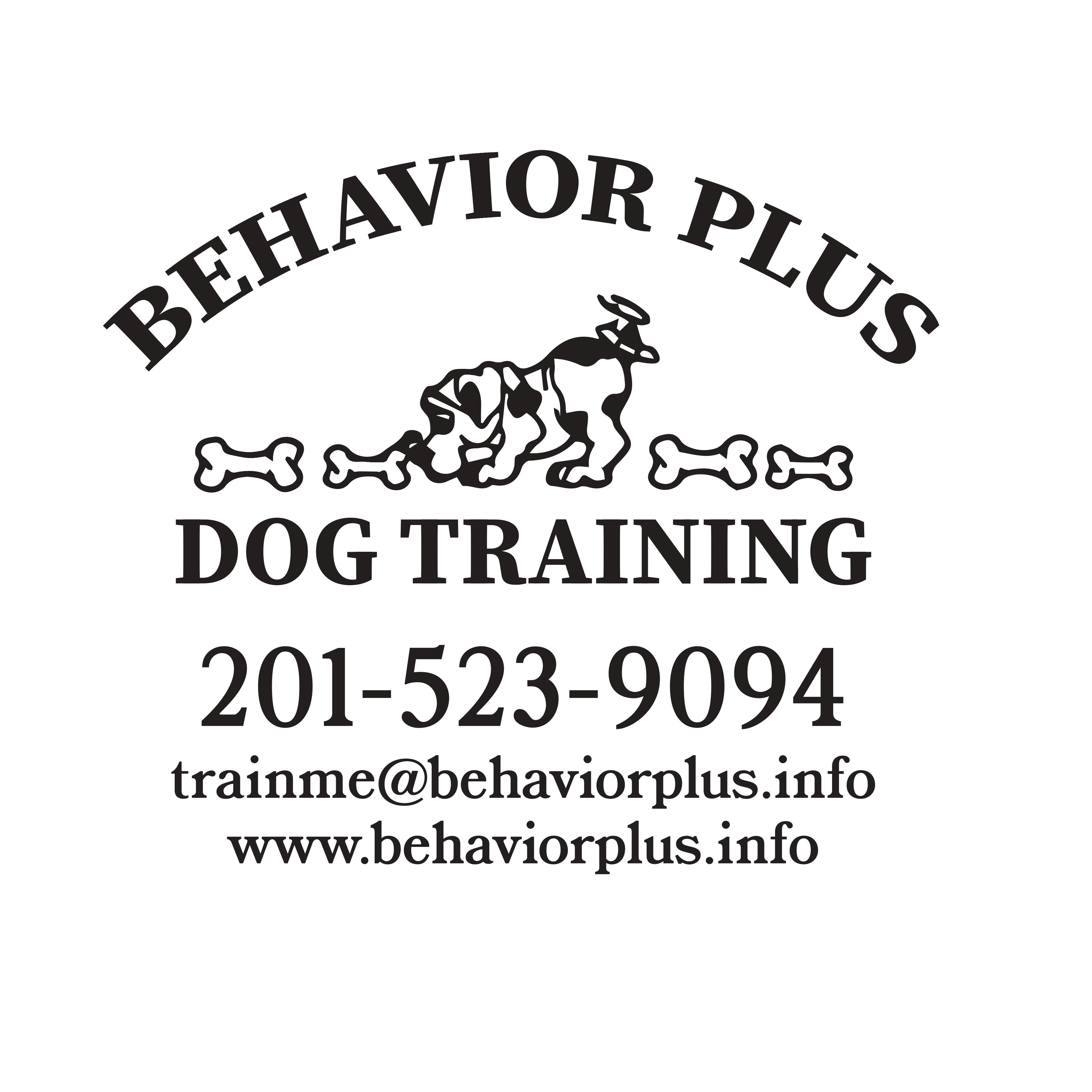 Behavior Plus