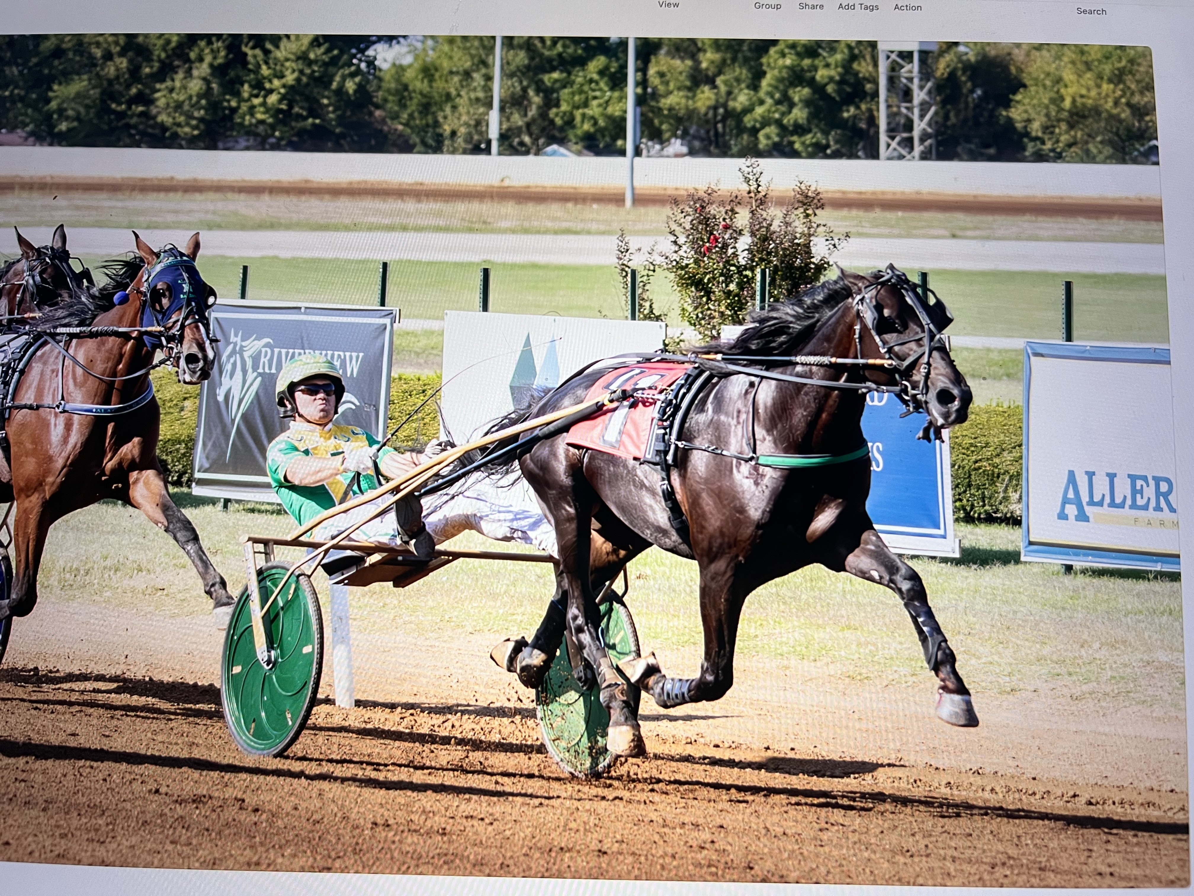 Trotting for Bourbon LLC