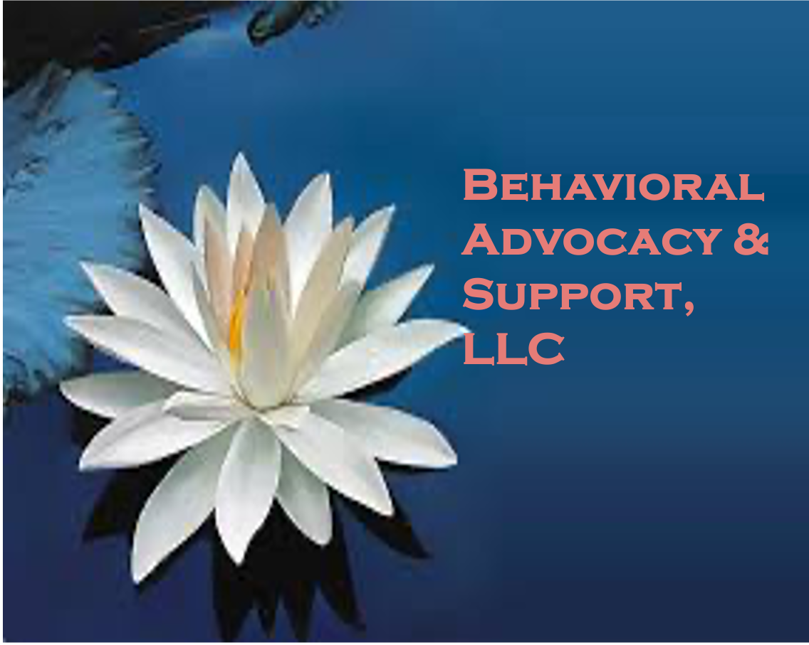 Behavioral Advocacy & Support, LLC