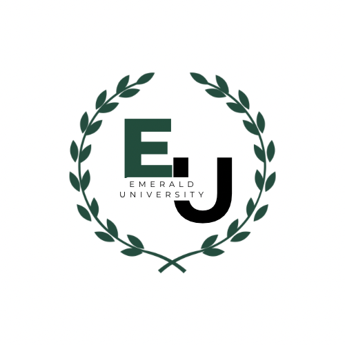 Emerald Consultant Services LLC