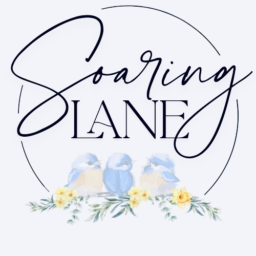Soaring Lane Inc.