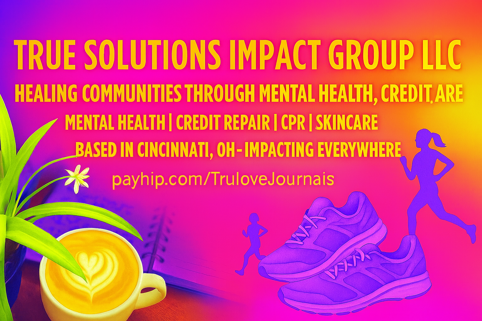 True Solutions Impact Group LLC