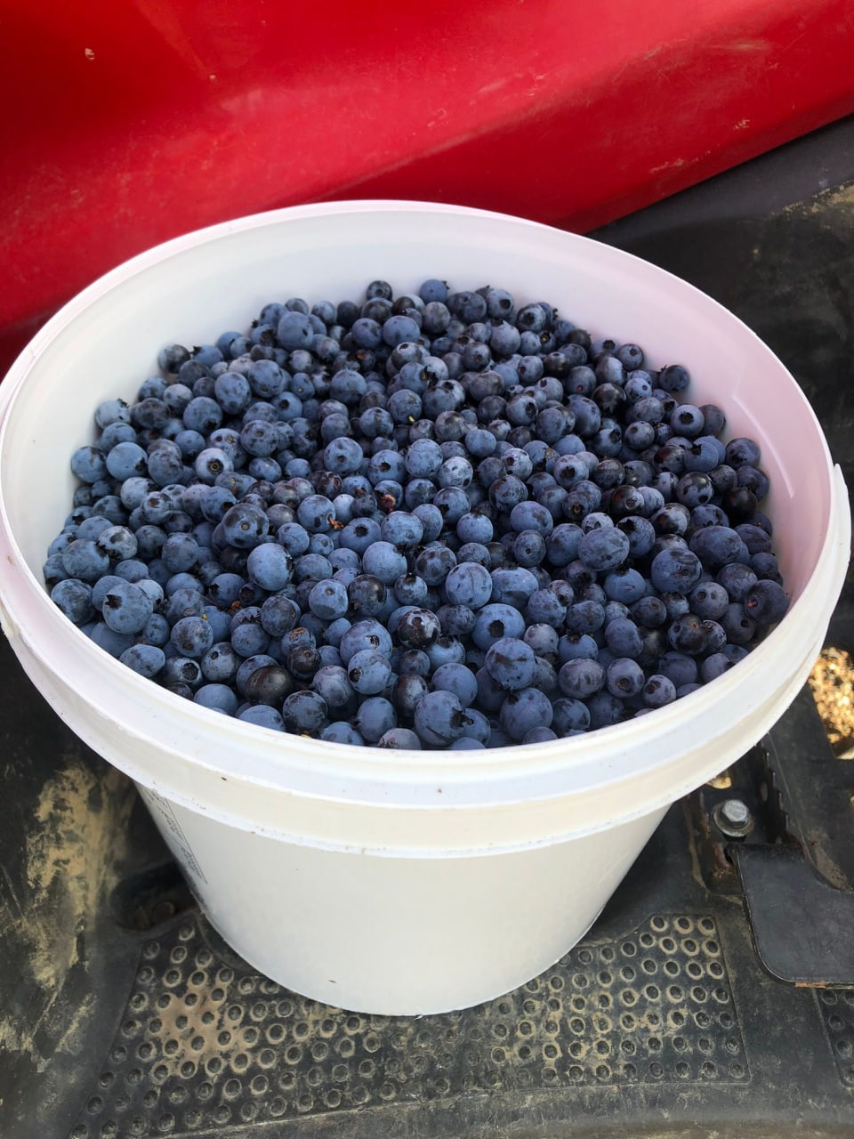 Responsive Solutions Enterprise LLC