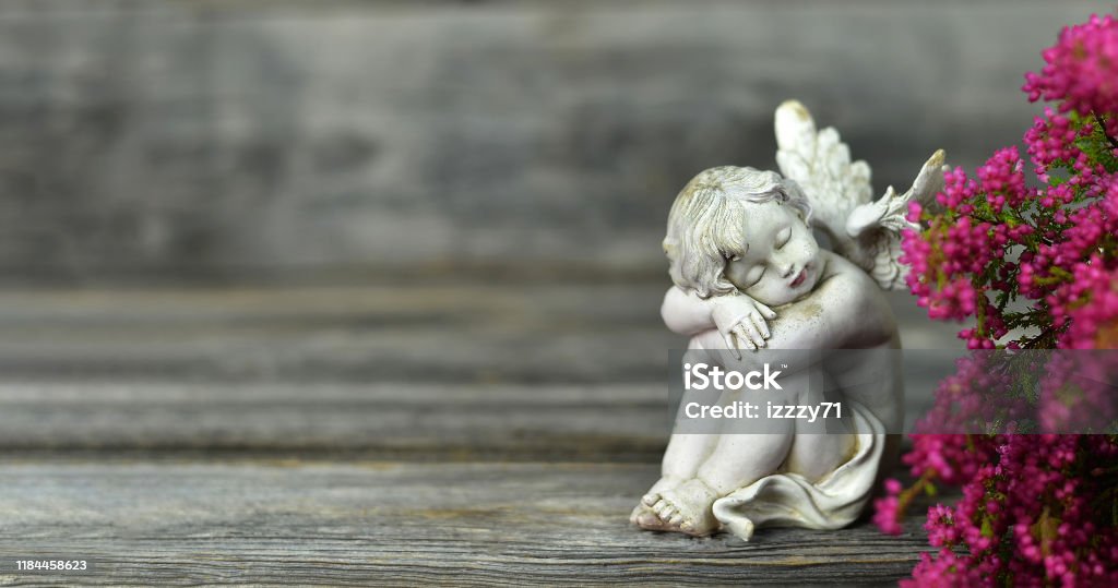 The Cherub Foundation Inc.