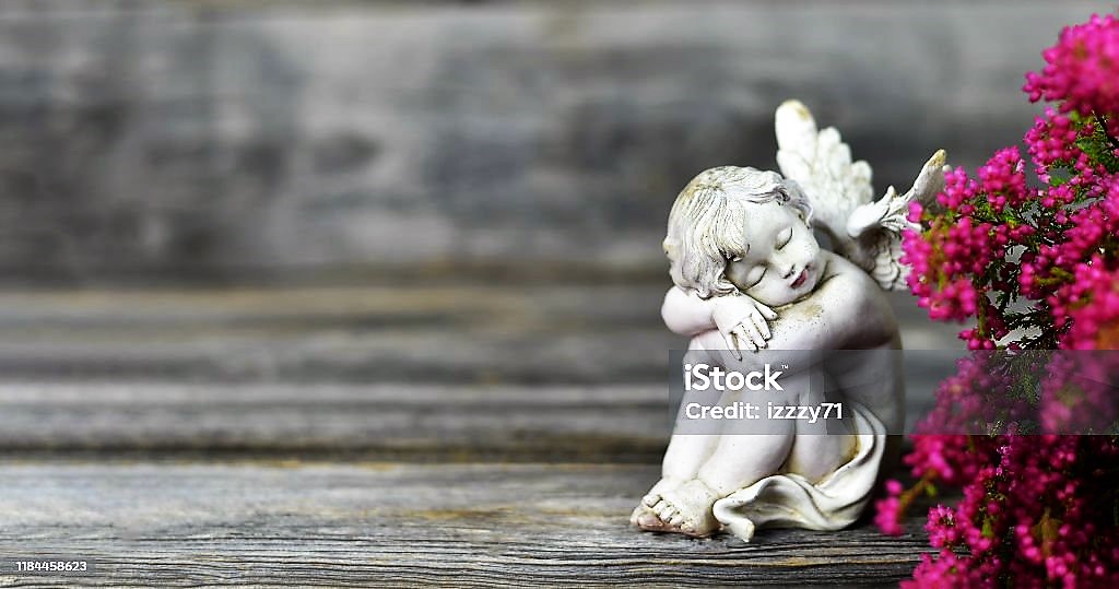 The Cherub Foundation, Inc.