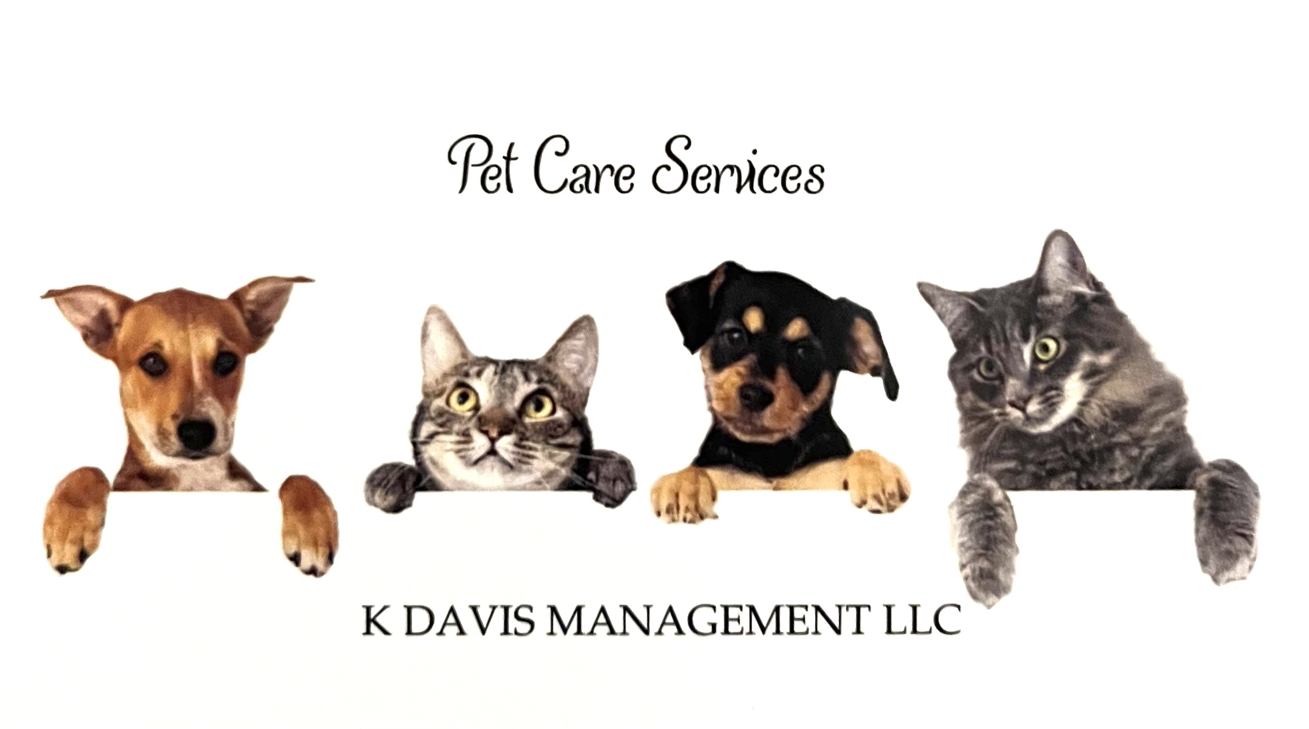K Davis Management LLC