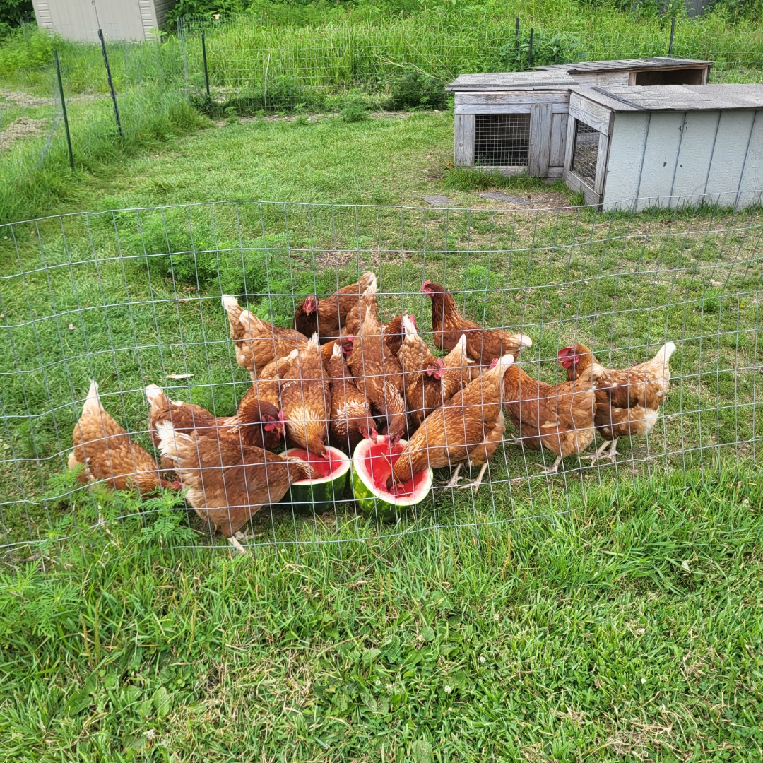 A Tiny Homestead LLC