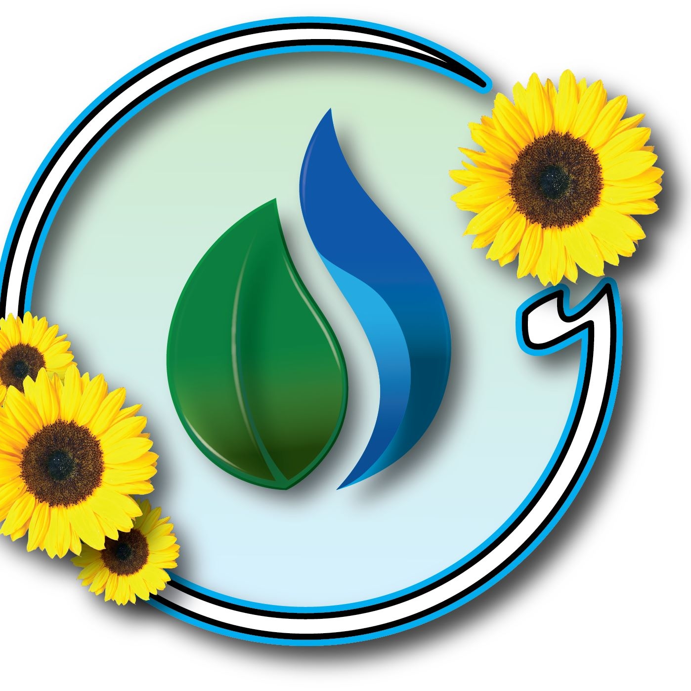 It Really Works Soaps & Salves Holistic Spa LLC