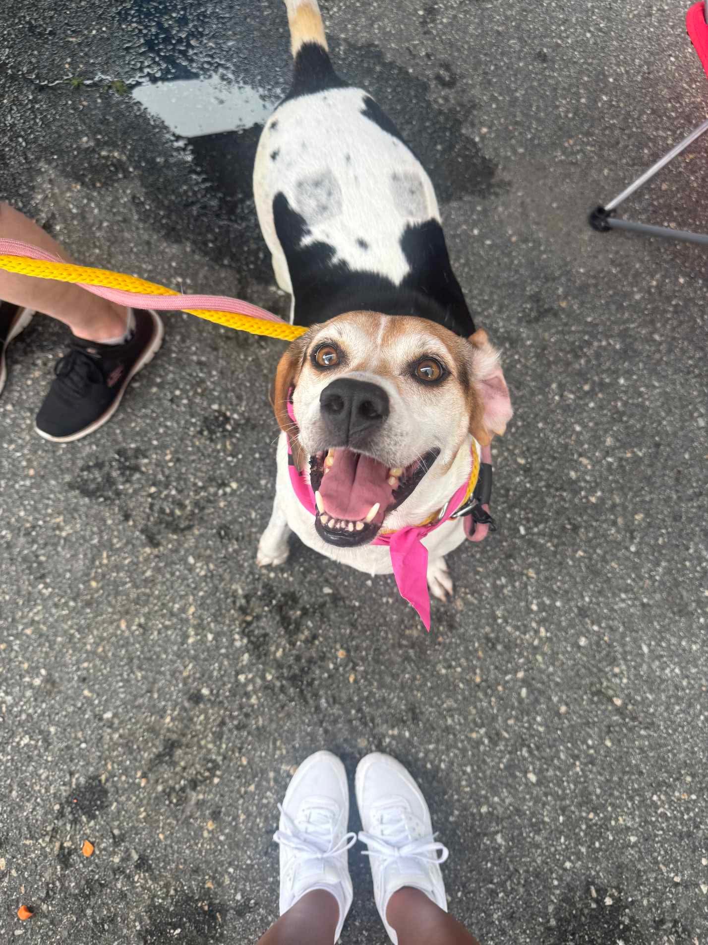 Tracy Young Wells's Profile