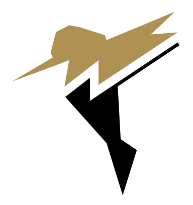 Downie Business Solutions