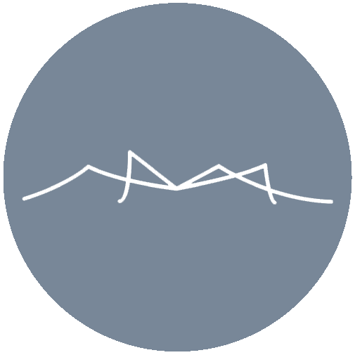 Spidermeka Portraits