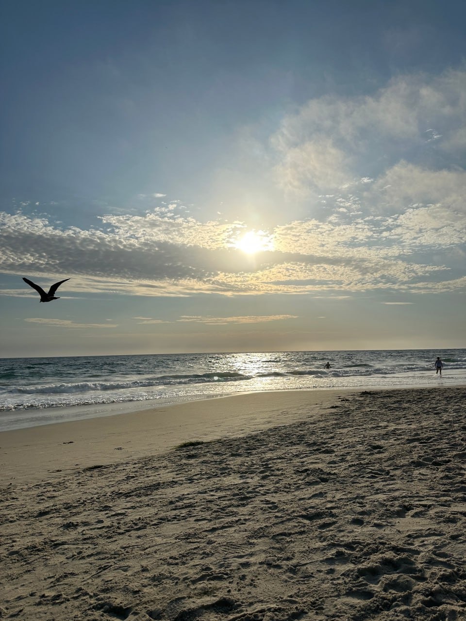 Kings Properties LLC