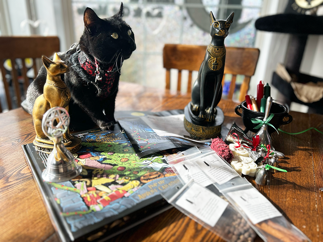 House Of Black Cat Magic, Co.