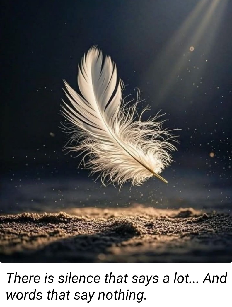 Pb Transport Services