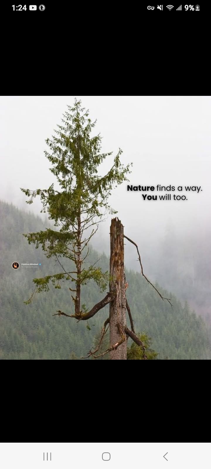 Elizabeth  Barton 's Profile