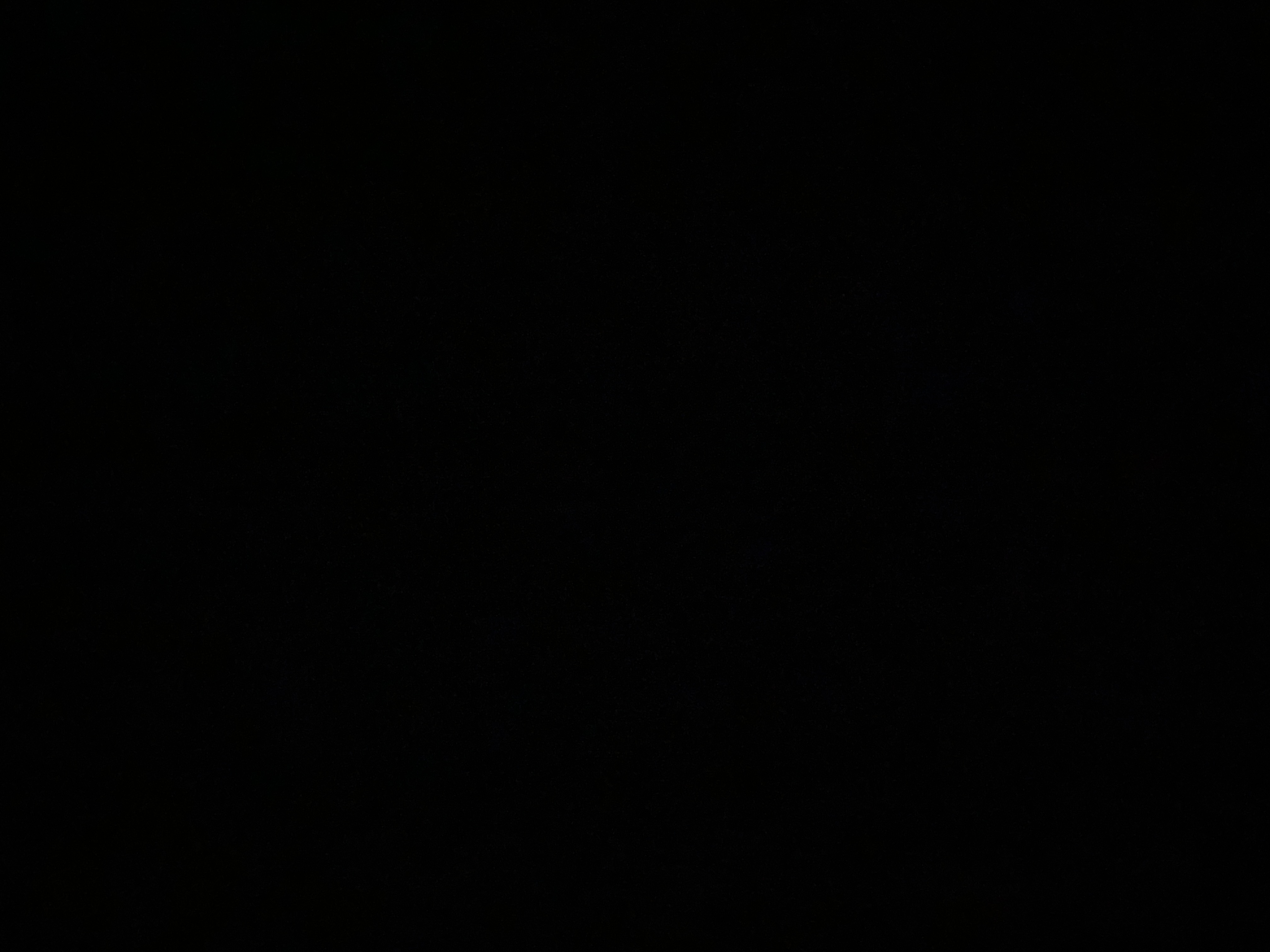 The plugs plug exotic rentals LLC