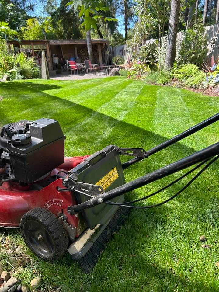 Stand Down Lawn Service