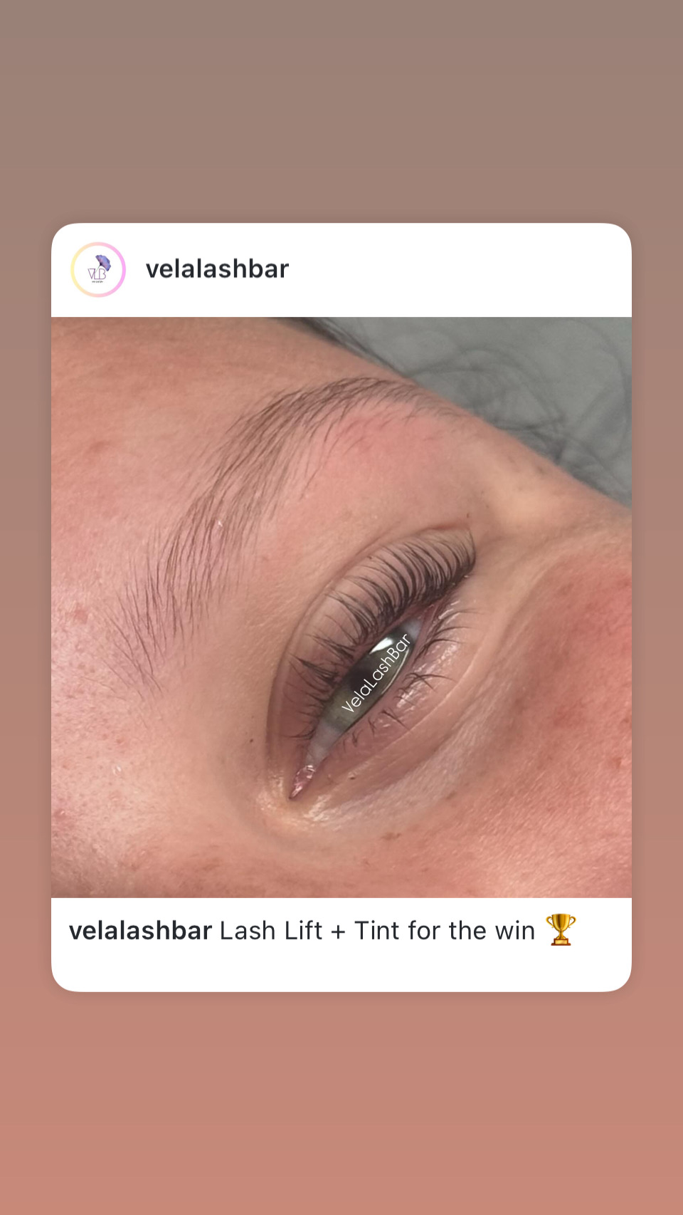 Vela Lash Bar