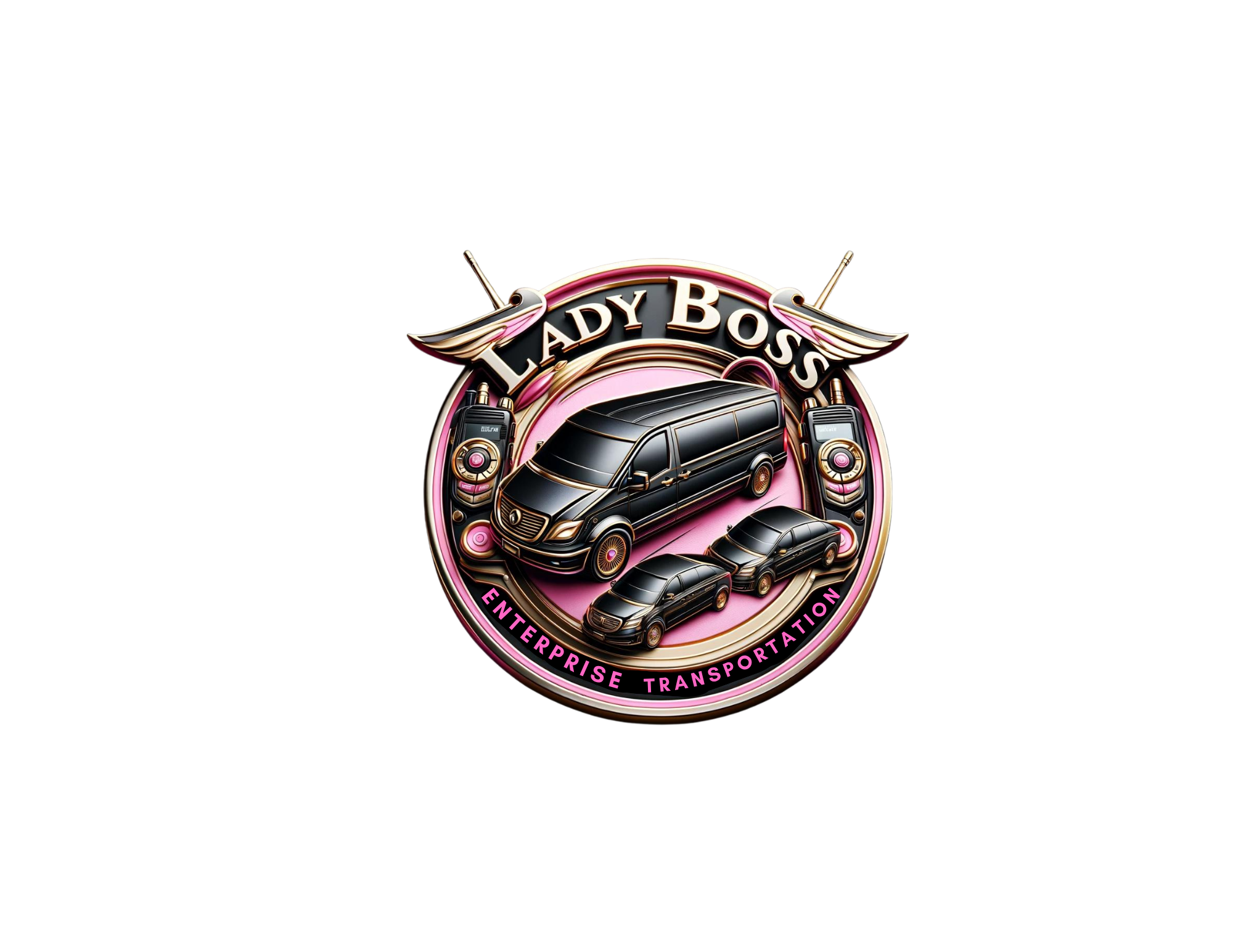 Lady Boss Enterprise,LLC