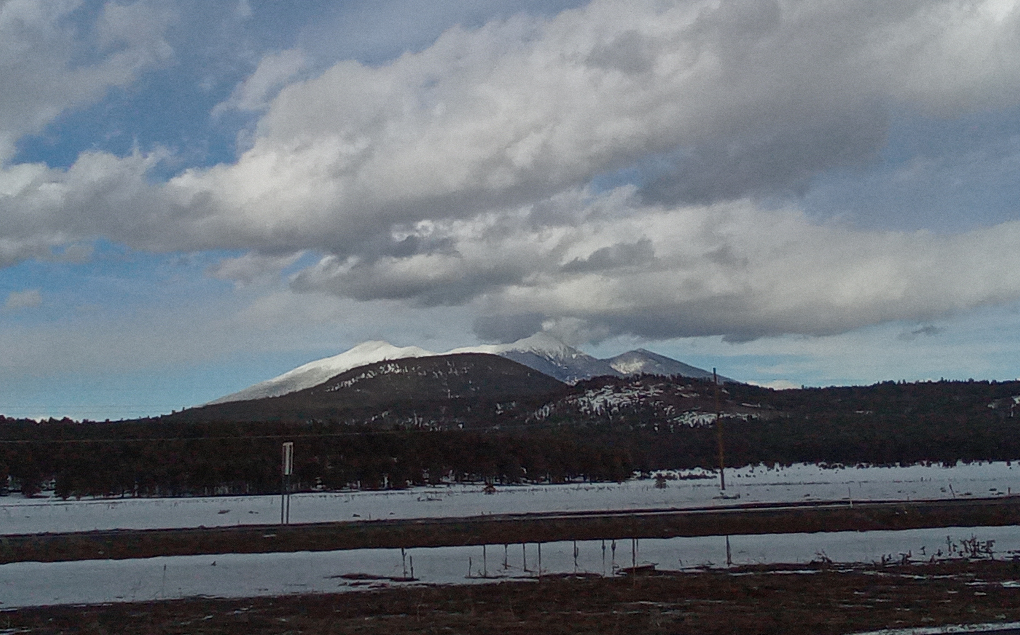 Prn Professional Recruiting/placement Service, LLC