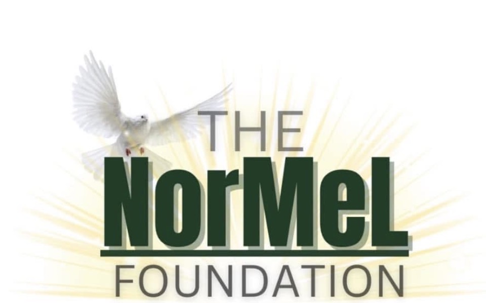 The Normel Foundation LLC