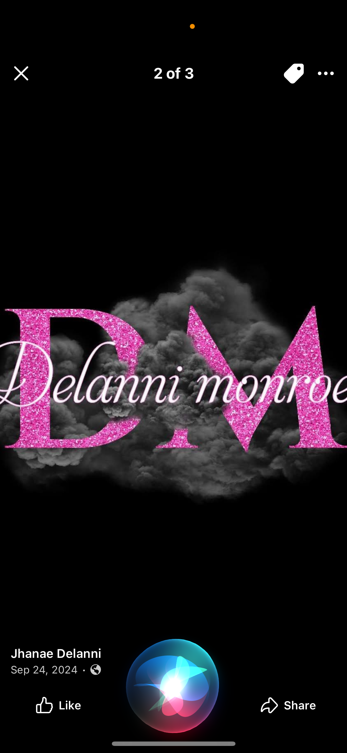 Delannimonroeextensions