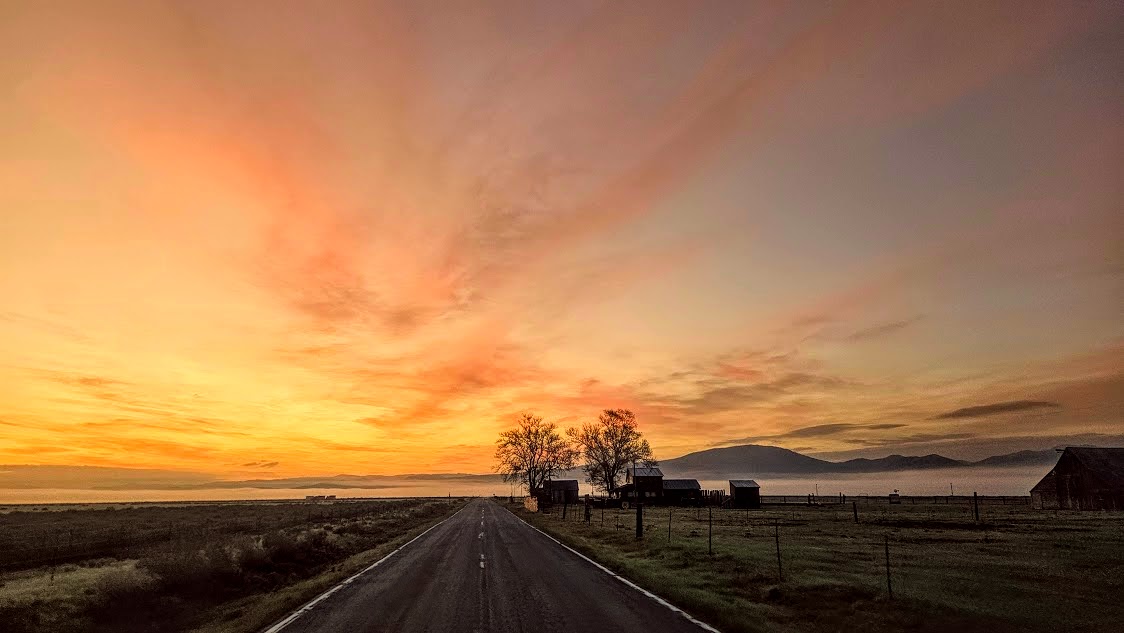 Thompson And Sons Ranch