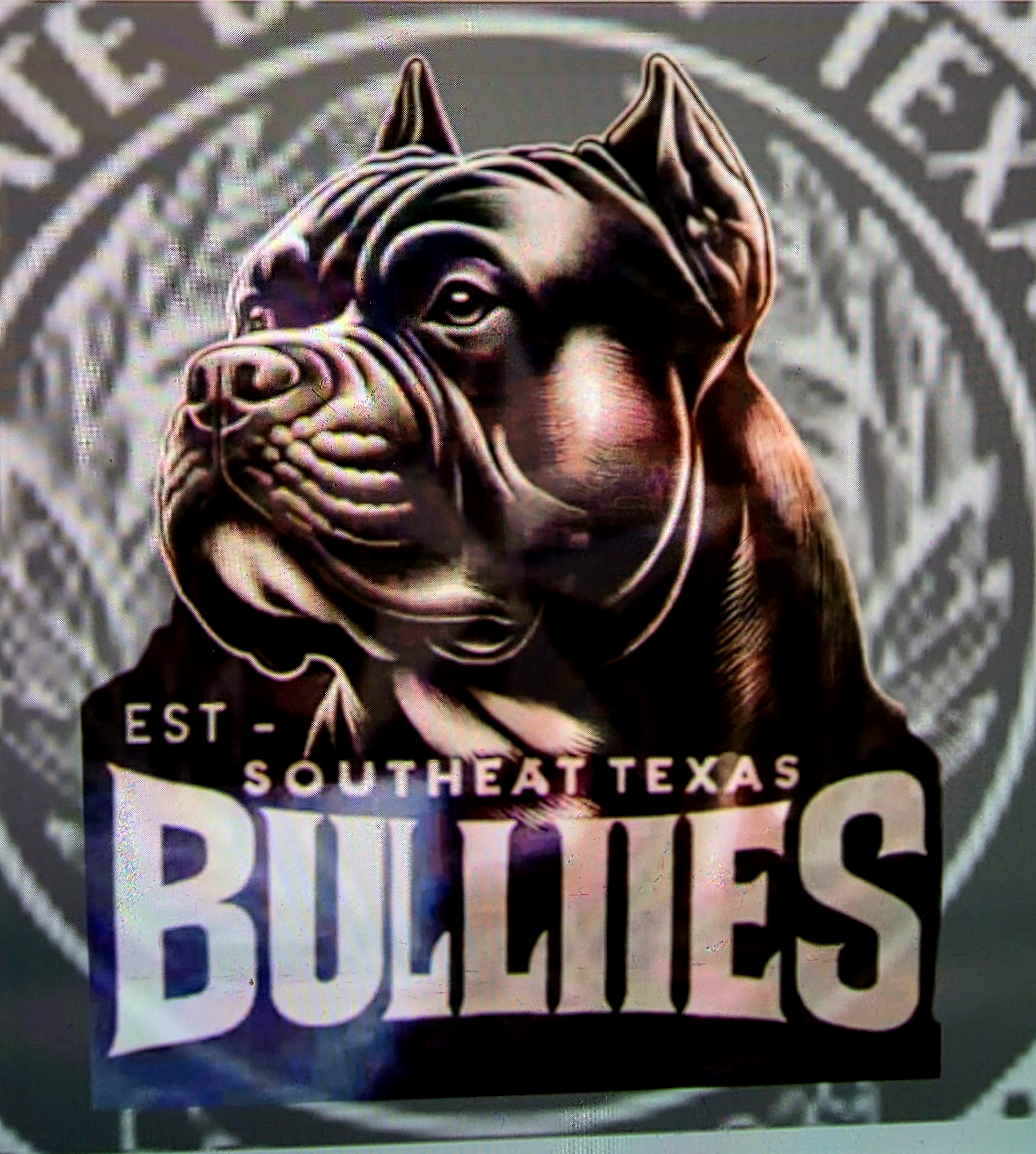 Southeast Texas Bullies
