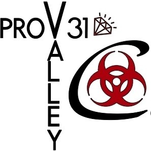 Pro Valley 31 Cleaning