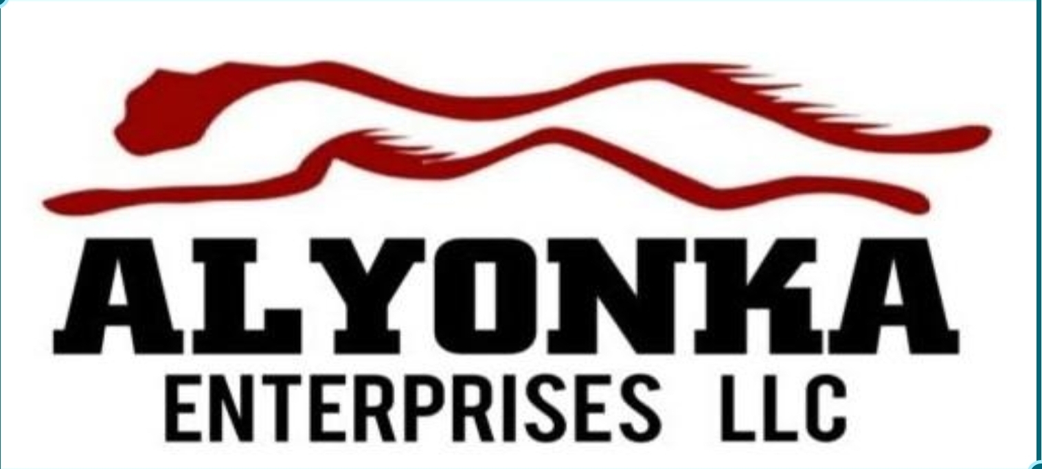 Alyonka Enterprises LLC