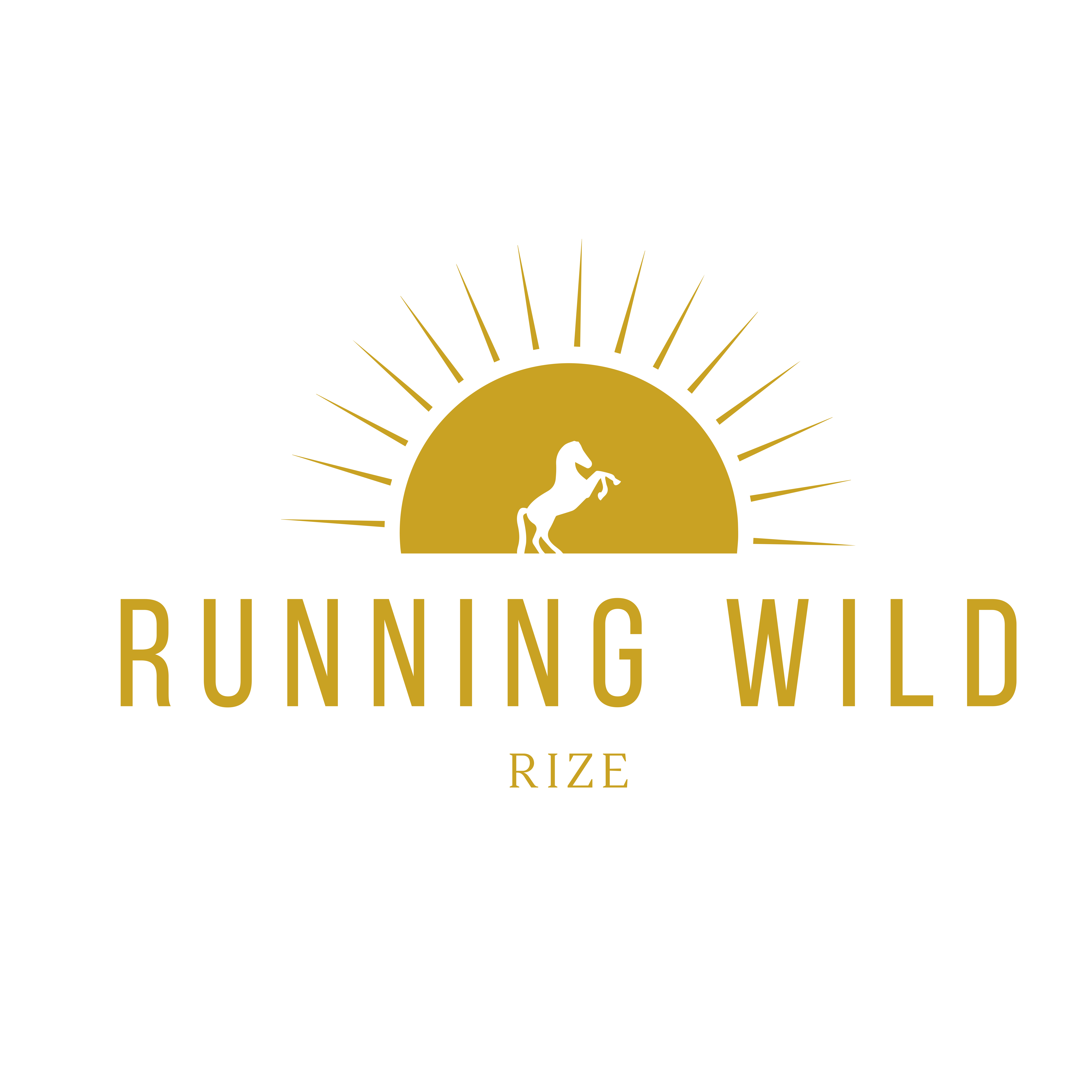 Running Wild, LLC