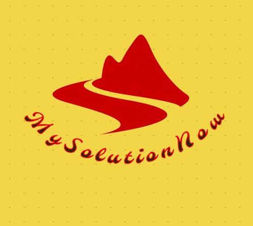 Mysolutionnow LLC
