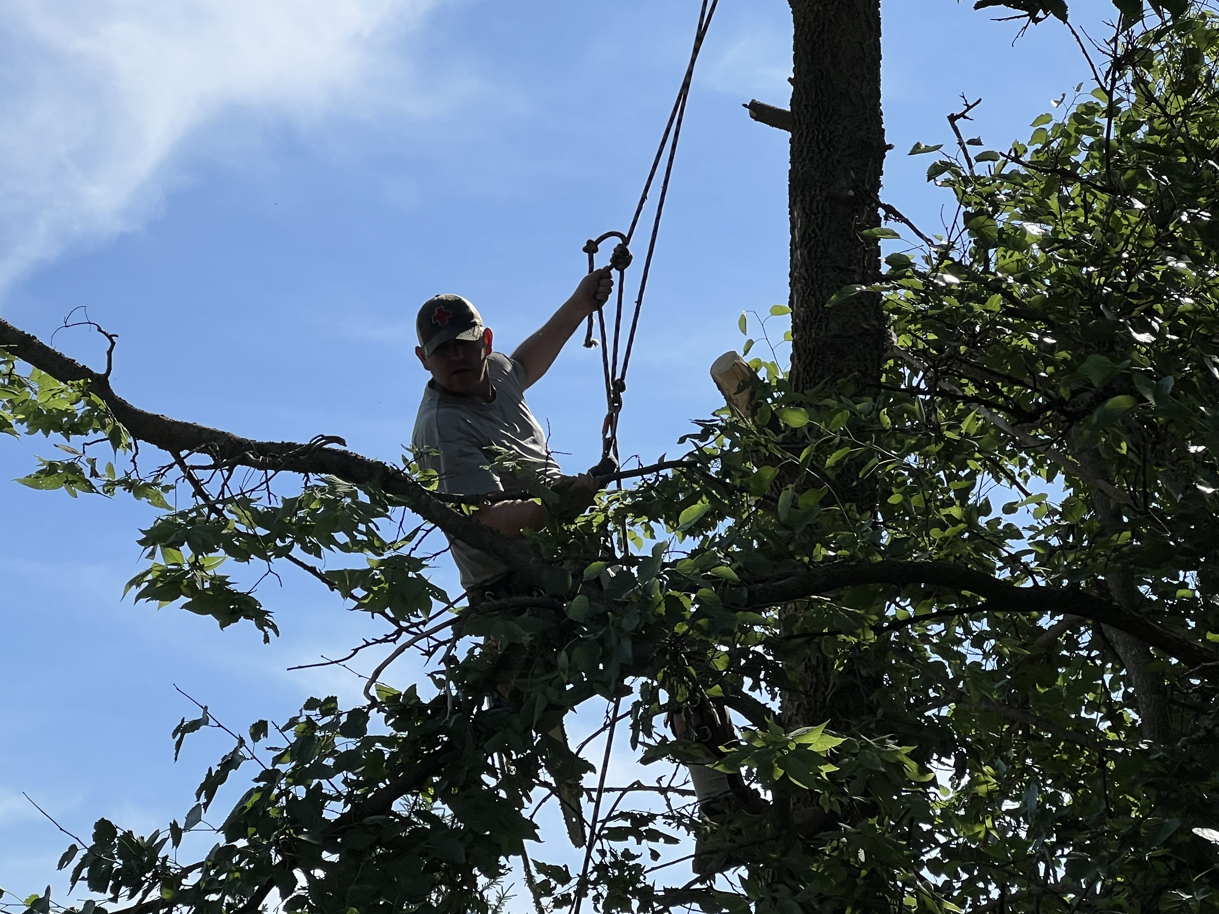 Kl & Nj's Lawn Maintenance & Junk Removal