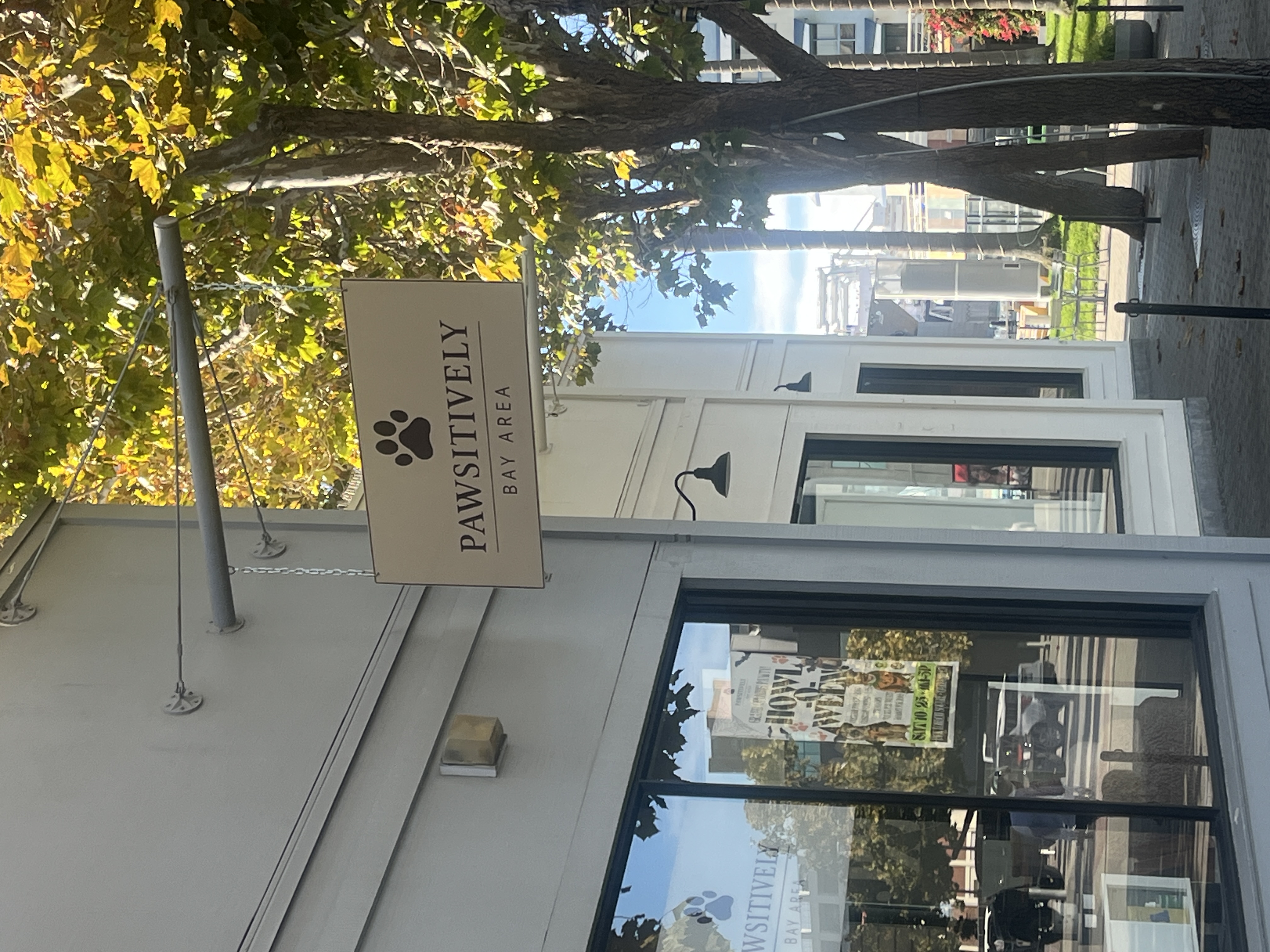 Cocoa & Onyx®️ Pawsitively Bay Area 