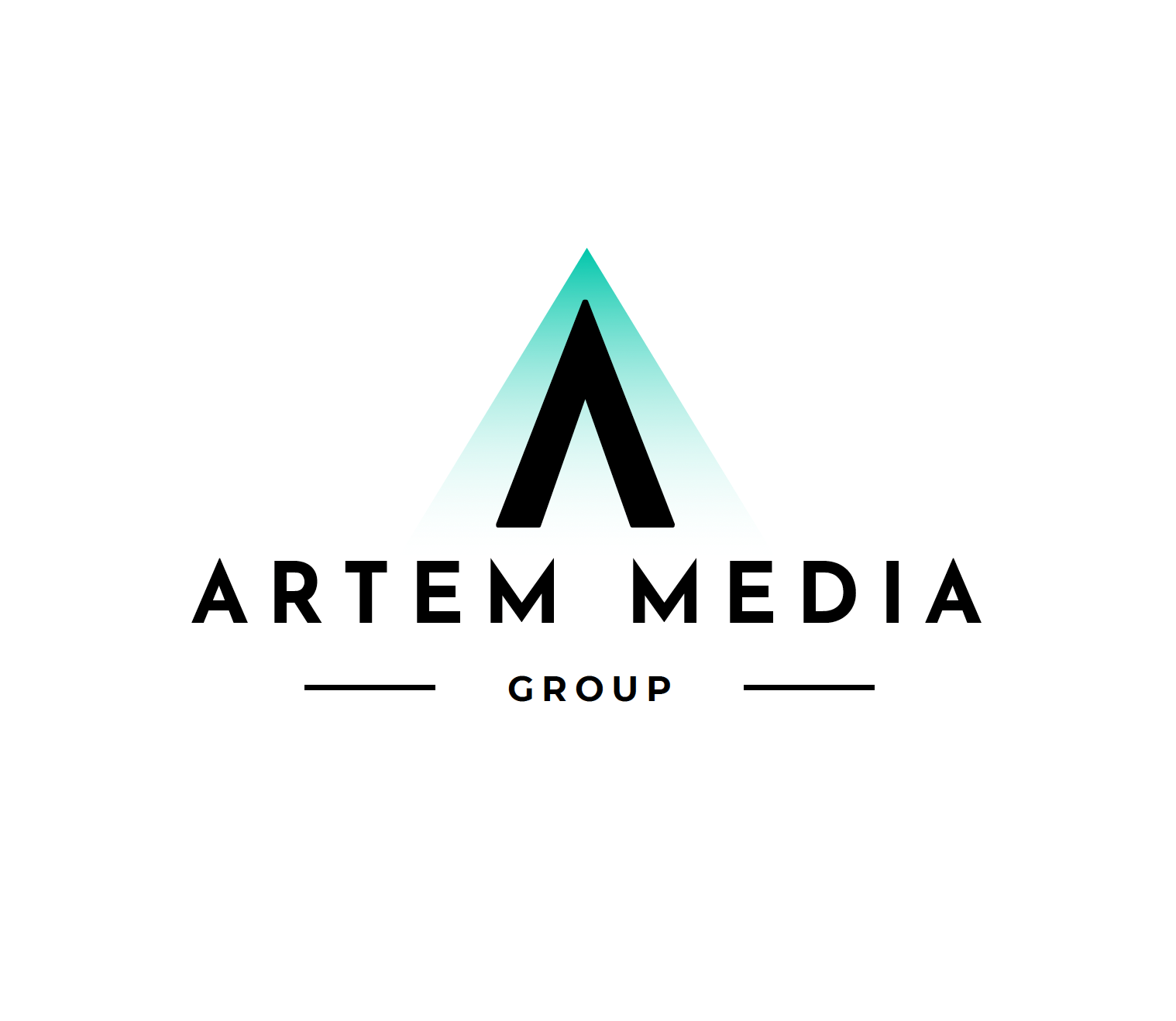 ARTEM MEDIA GROUP LLC 