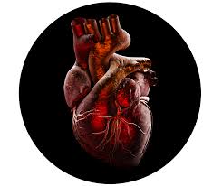 Heartbeat Cpr Nationwide