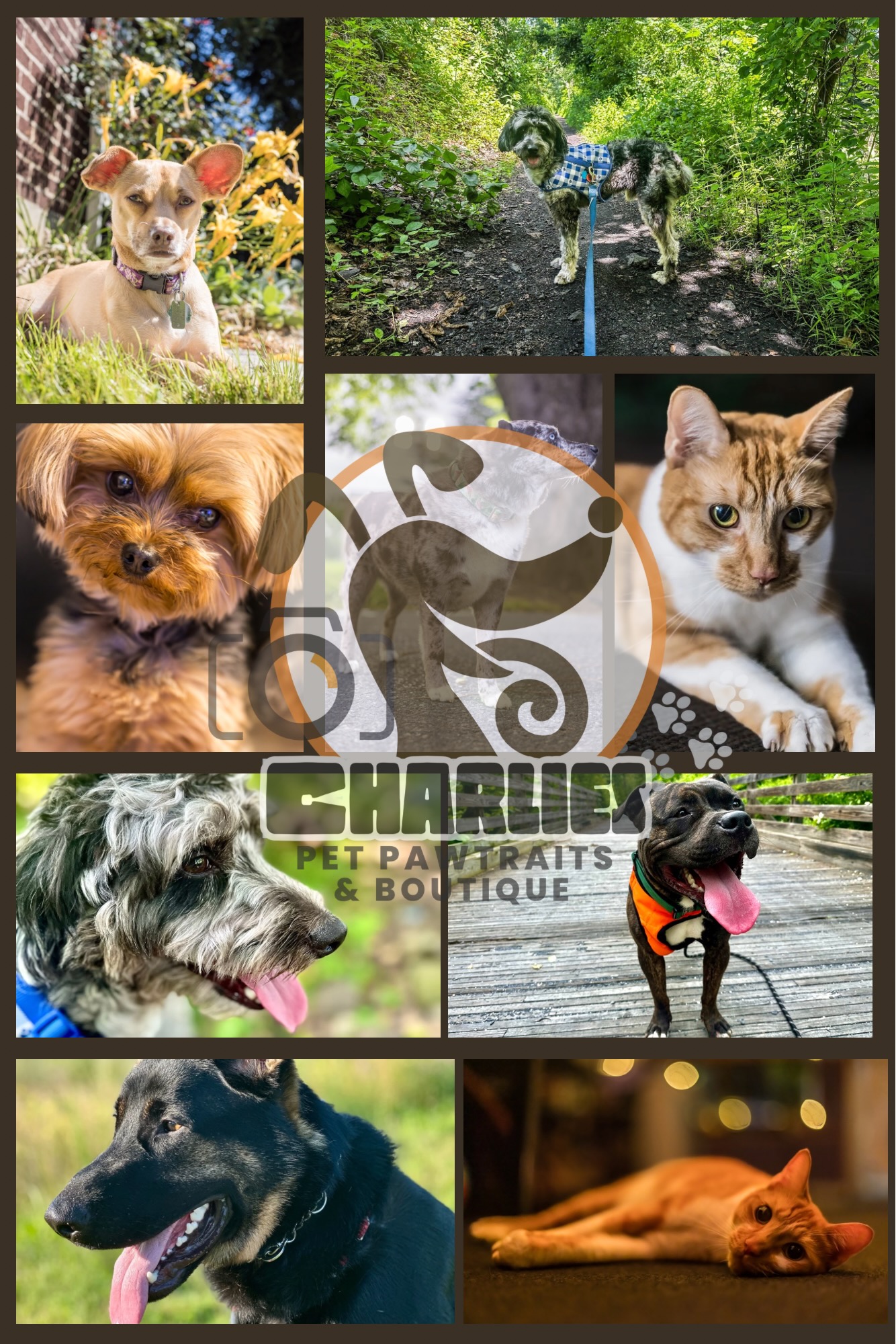 Charlies Pet Pawtraits & Boutique