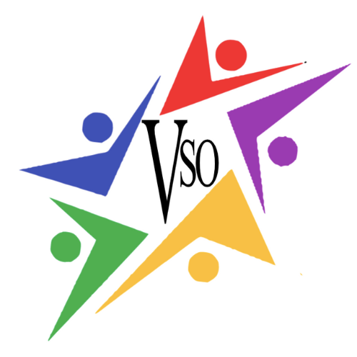 Village Schools Organization (VSO)