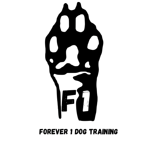 Forever 1 Dog Training