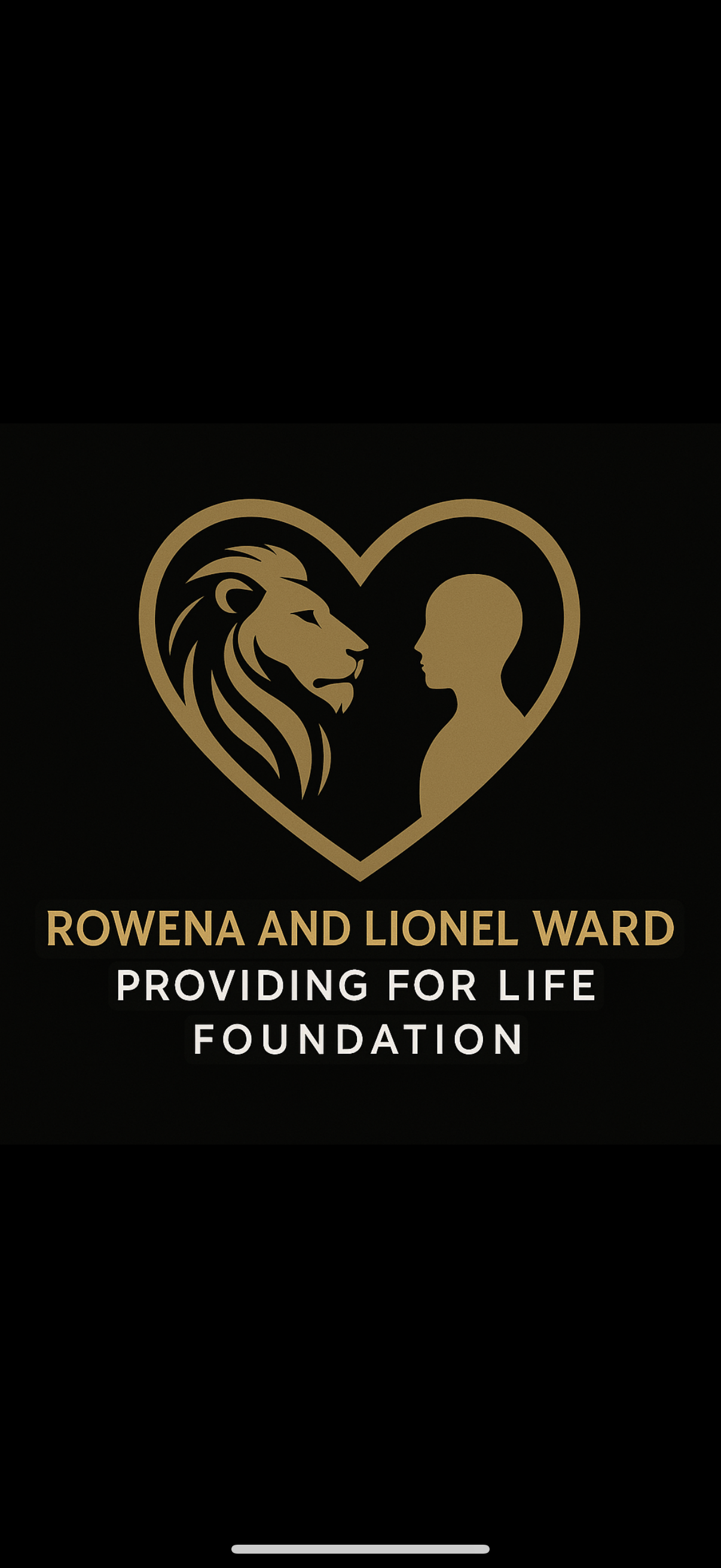 Providing For Life Foundation LLC