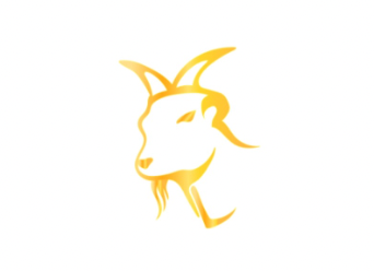 Life Journey Solutions LLC