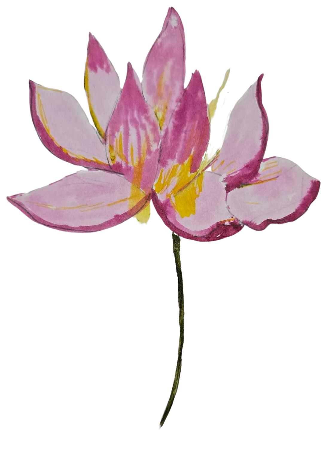 Timeless Tale Events, Inc